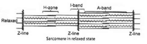 Solution diagram