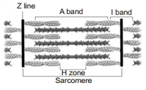Solution diagram
