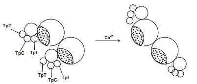 Solution diagram