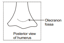 Solution diagram