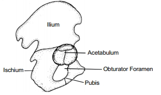 Solution diagram
