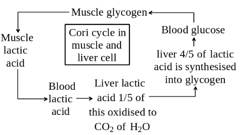 Solution diagram
