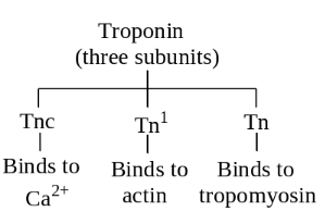 Solution diagram
