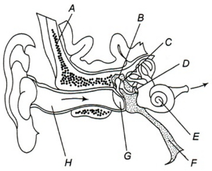 Question diagram