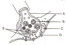 Question diagram