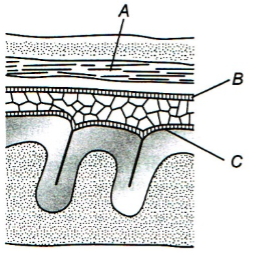 Question diagram