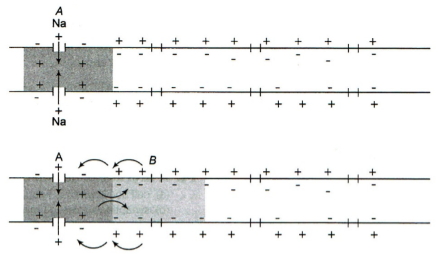 Question diagram
