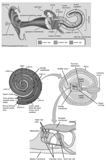Solution diagram