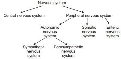 Solution diagram
