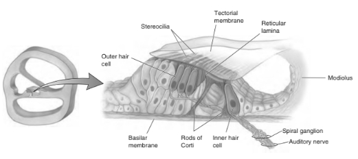 Solution diagram