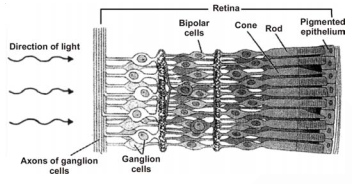 Solution diagram