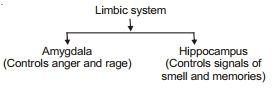 Solution diagram