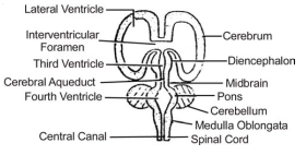 Solution diagram