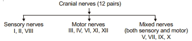 Solution diagram