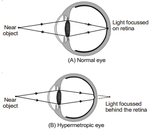 Solution diagram