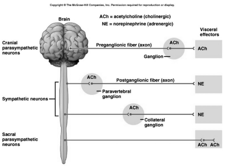 Solution diagram
