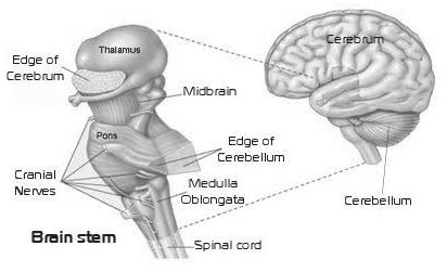 Solution diagram