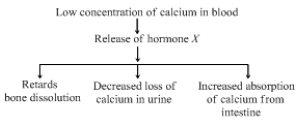 Question diagram