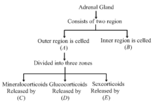 Question diagram