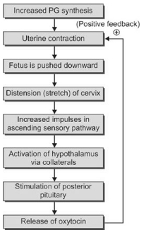 Solution diagram