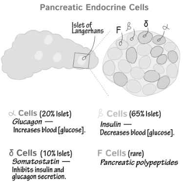 Solution diagram