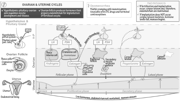 Solution diagram