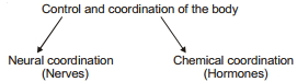 Solution diagram