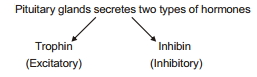 Solution diagram