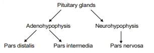 Solution diagram