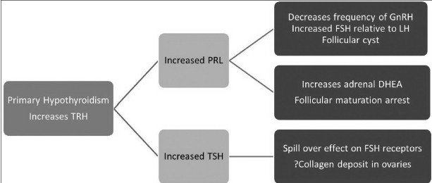 Solution diagram