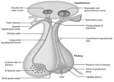 Solution diagram
