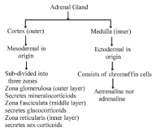 Solution diagram