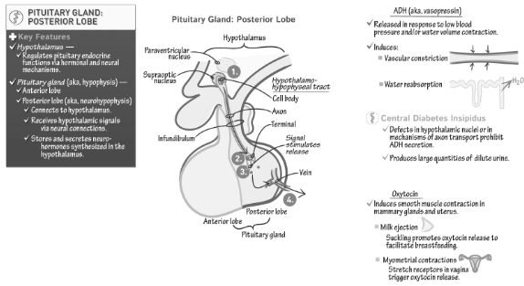 Solution diagram