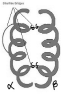 Solution diagram