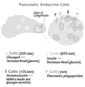 Solution diagram