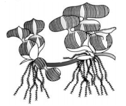 Question diagram