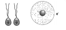 Question diagram