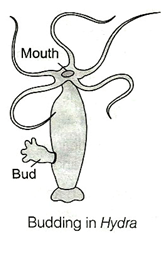 Solution diagram
