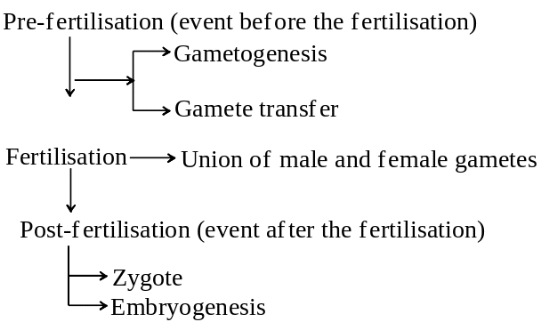 Solution diagram