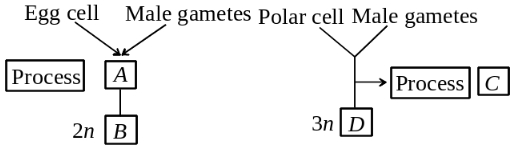 Question diagram