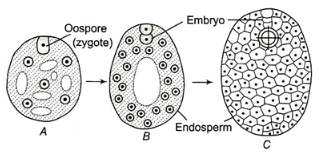 Question diagram