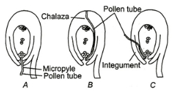 Question diagram