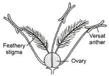 Question diagram