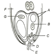 Question diagram