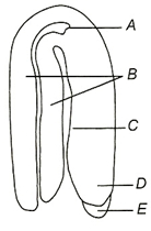 Question diagram