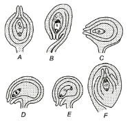 Question diagram
