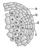 Question diagram