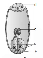 Question diagram
