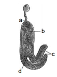 Question diagram