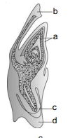 Question diagram